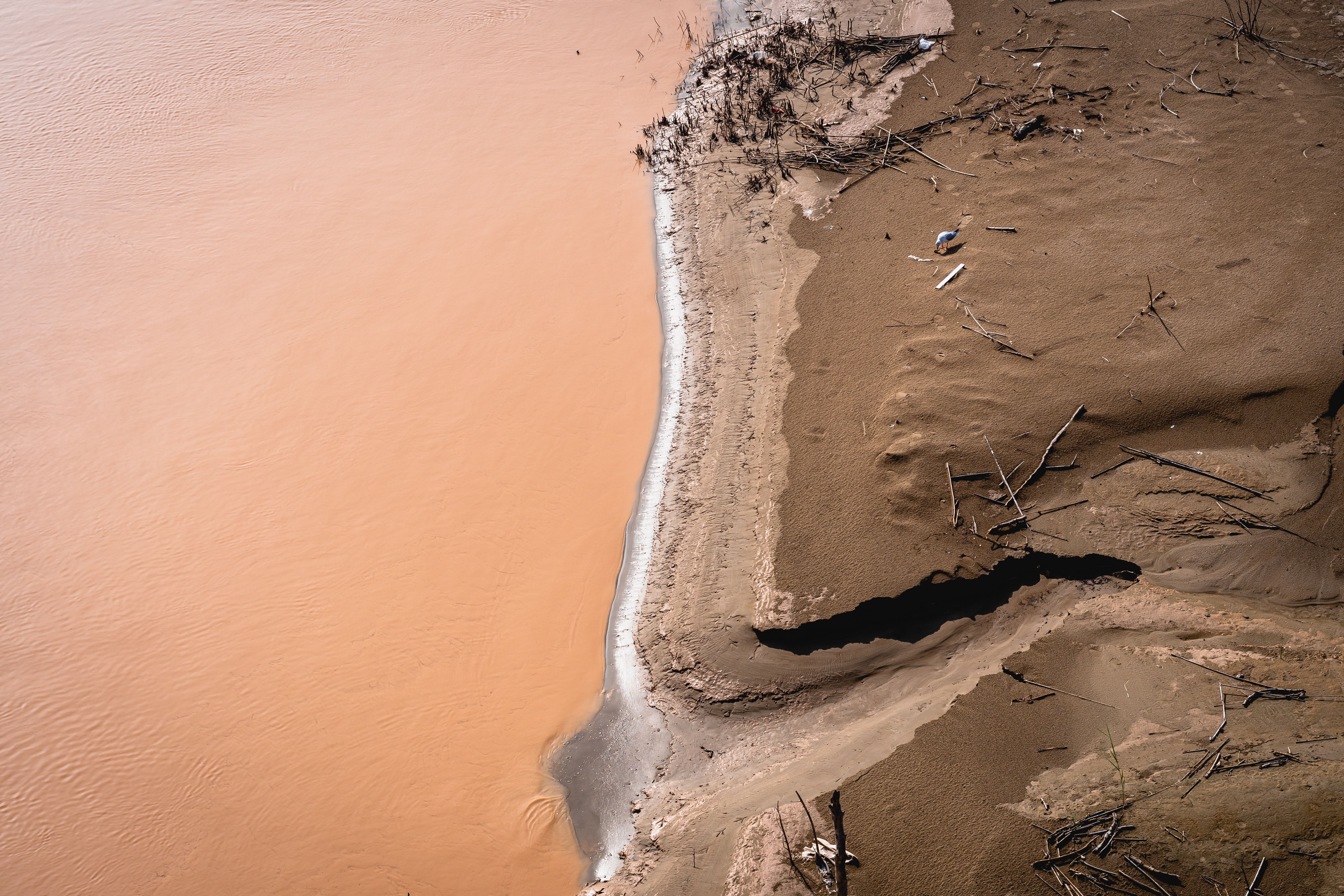 The ABCs of Hepatitis: Is There a Protection?