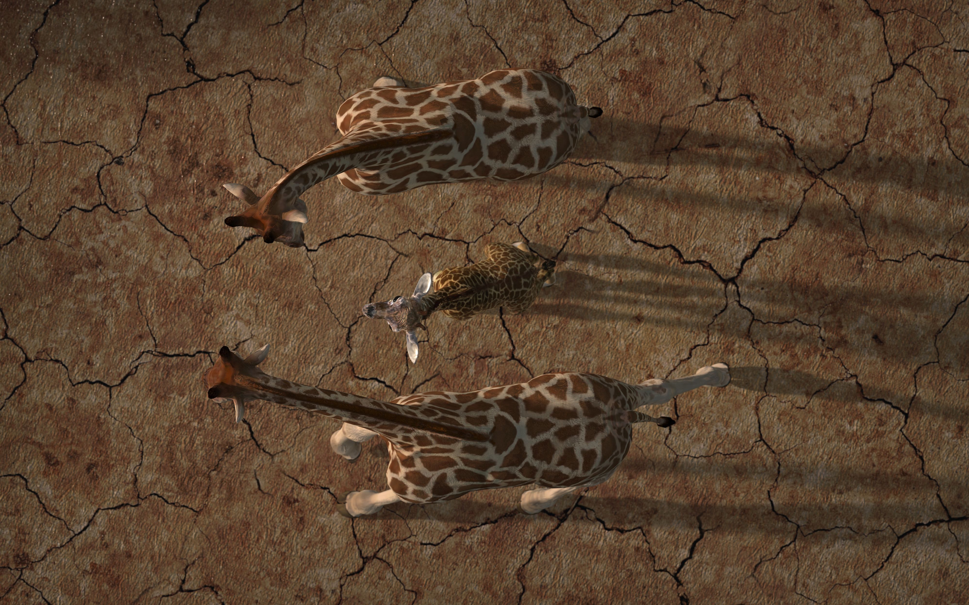 Examining Your Moles: When Should You Be Concerned?