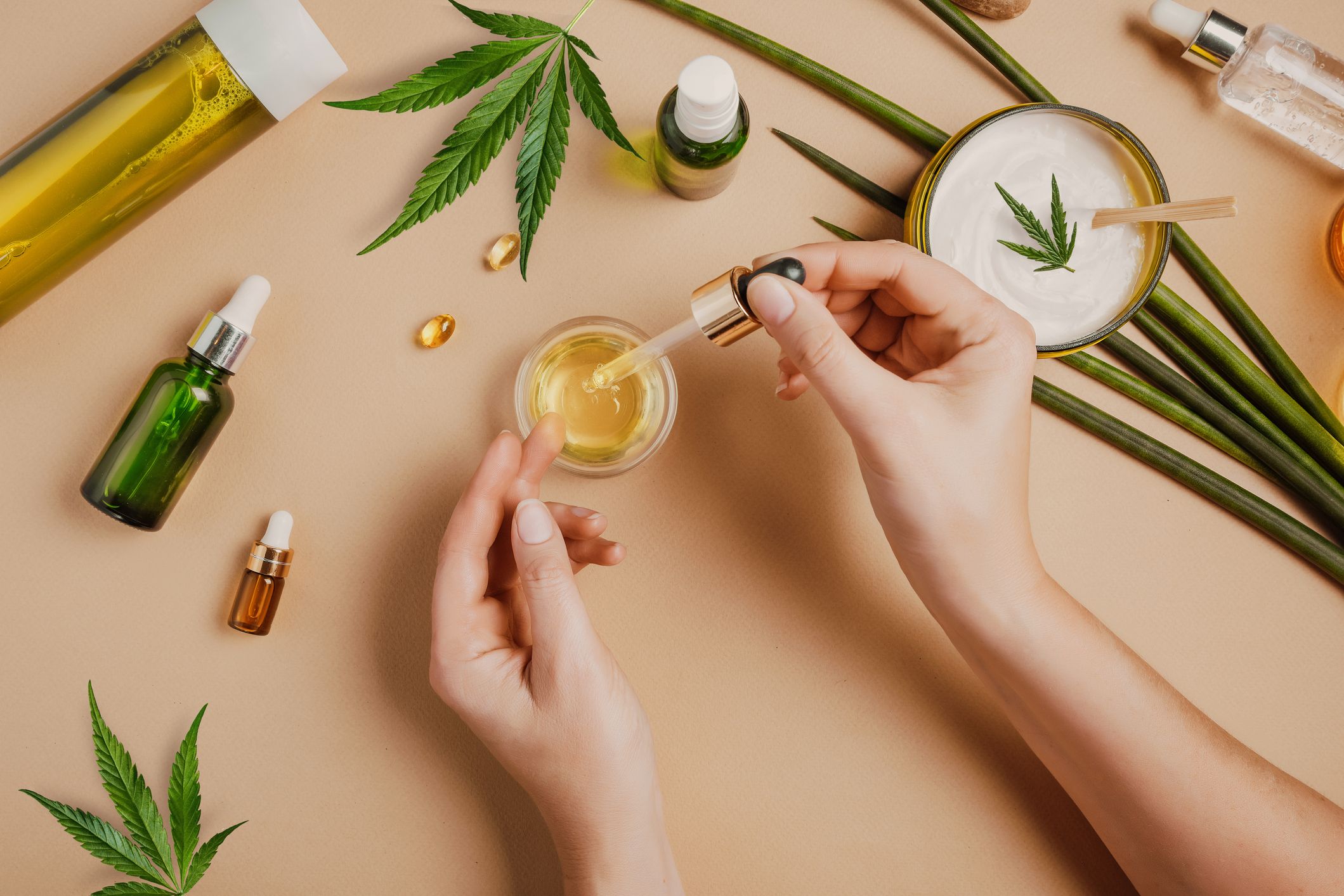 The Beginners’ Guide: What You Need To Know About Cannabidiol (CBD)