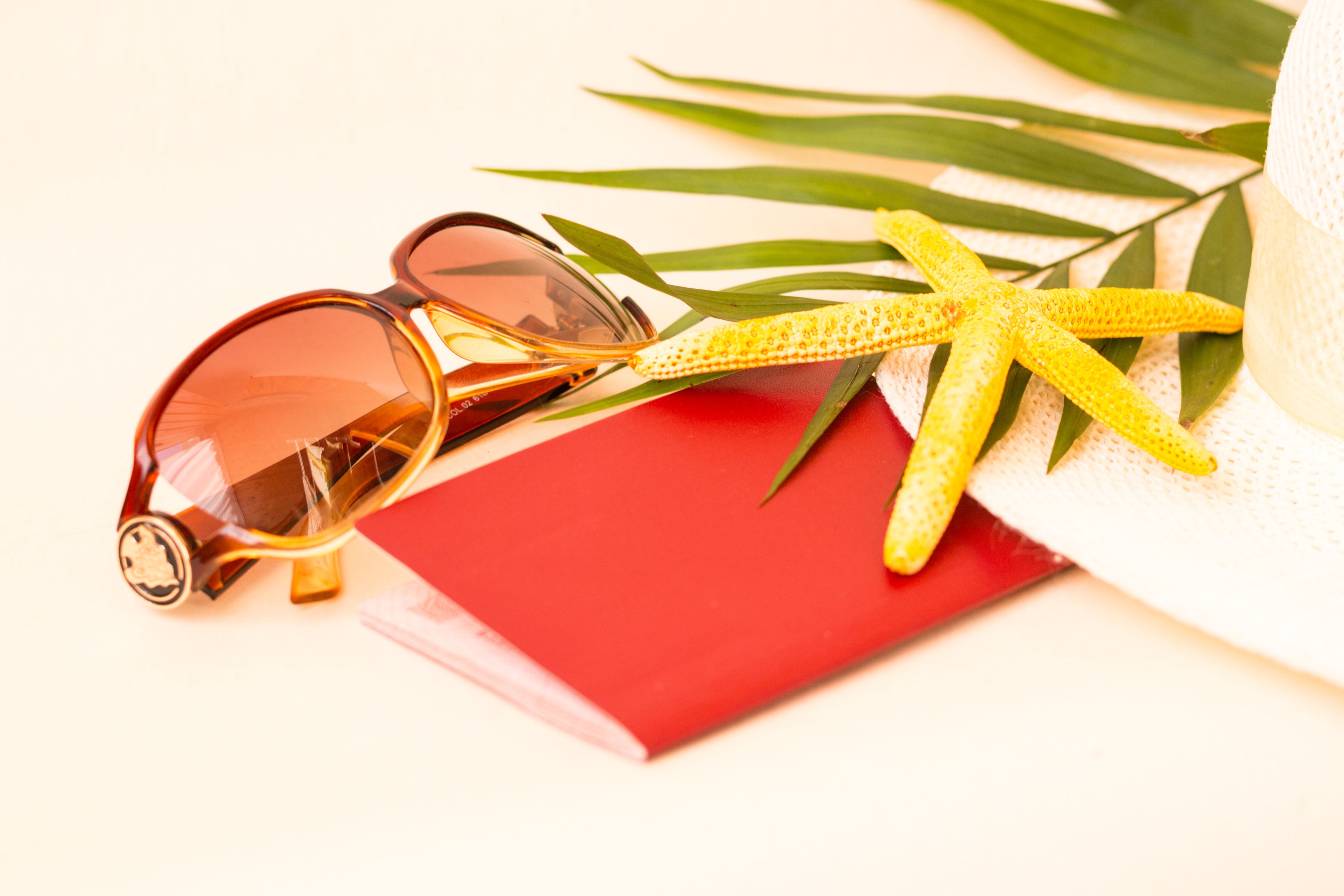 What Vaccinations Should Be Done When Traveling to Foreign Countries?