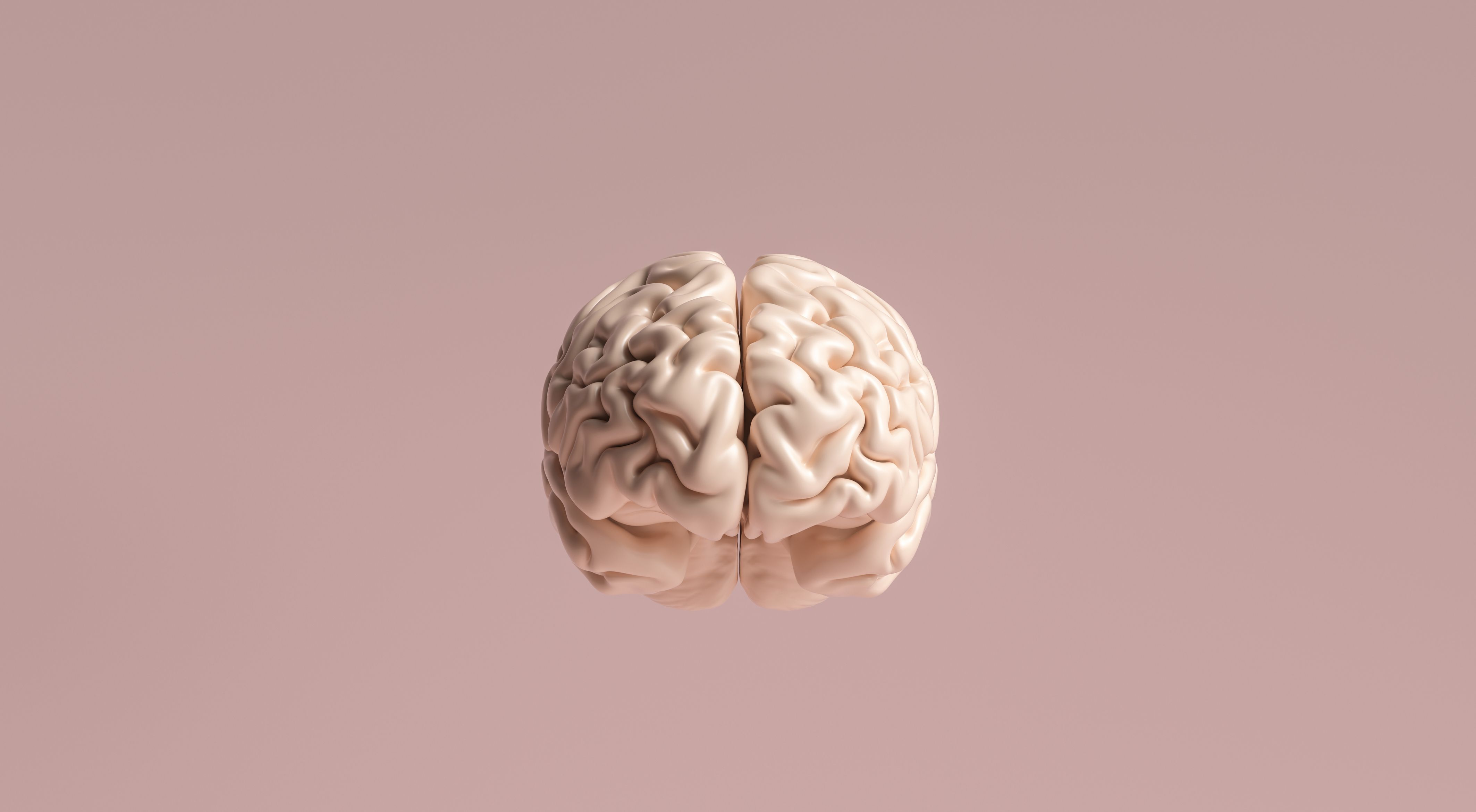 Do Nerve Cells Recover?