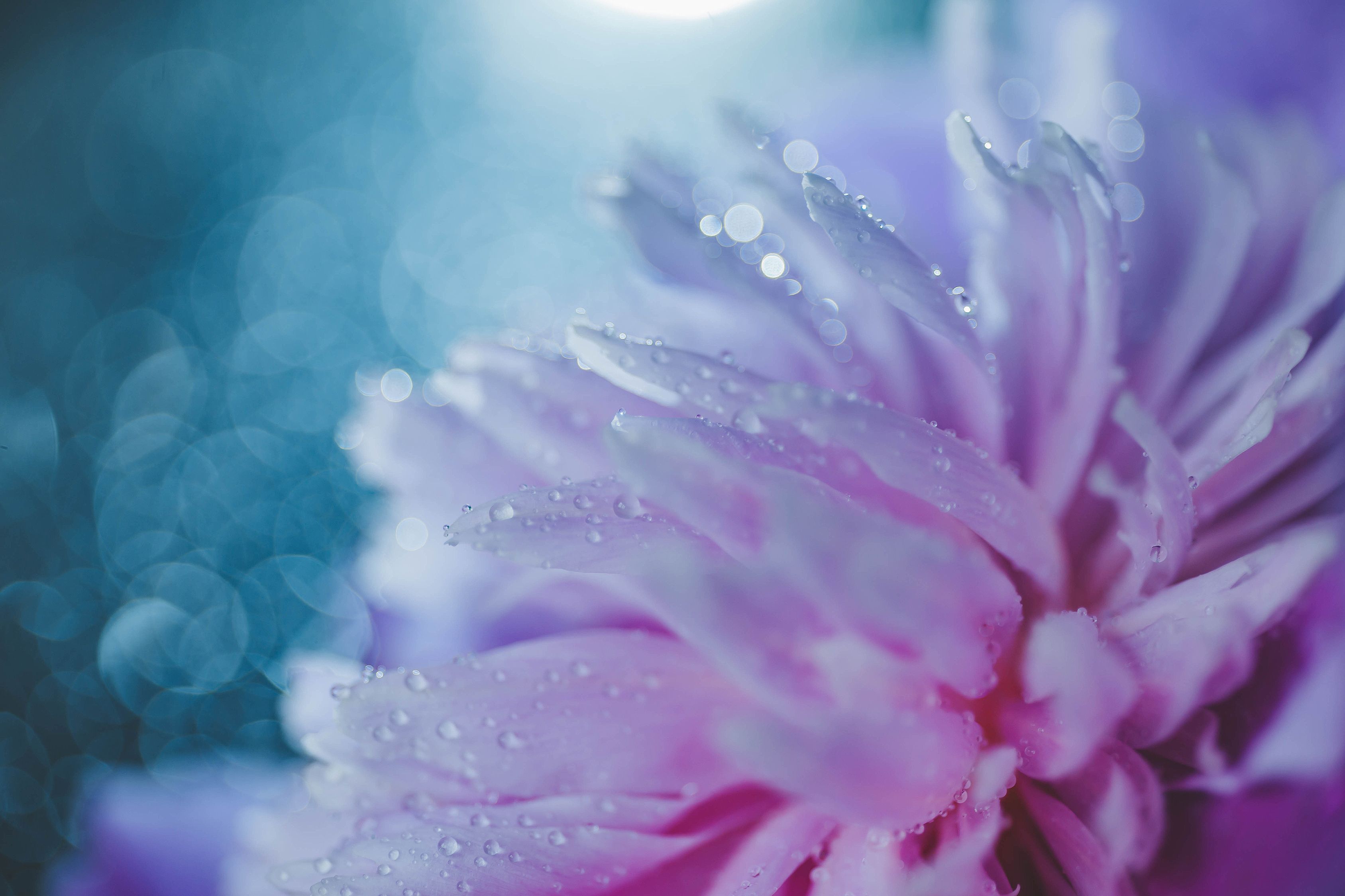 How Do You Use Deodorant Correctly?