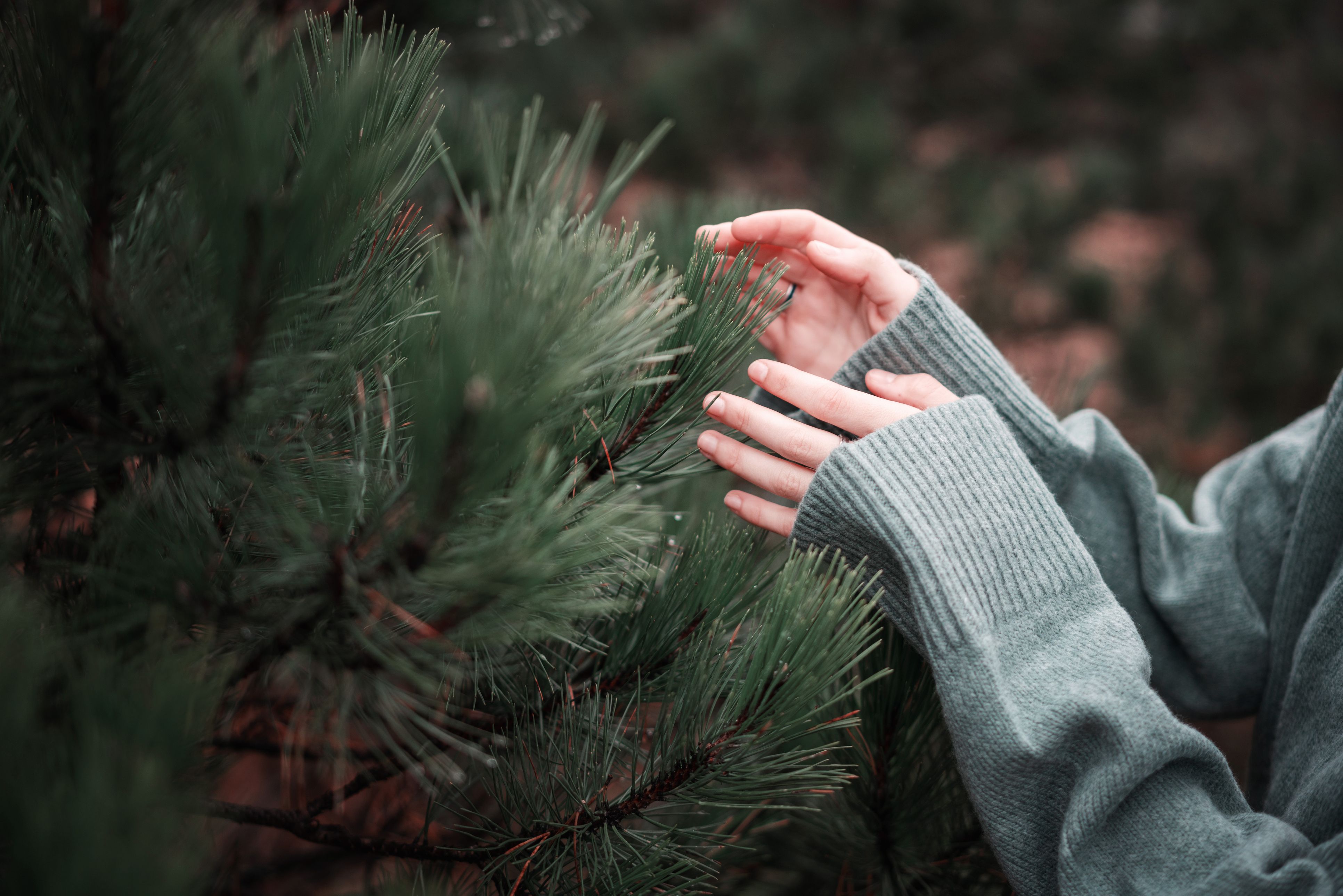 12 Vaccines Recommended for Adults