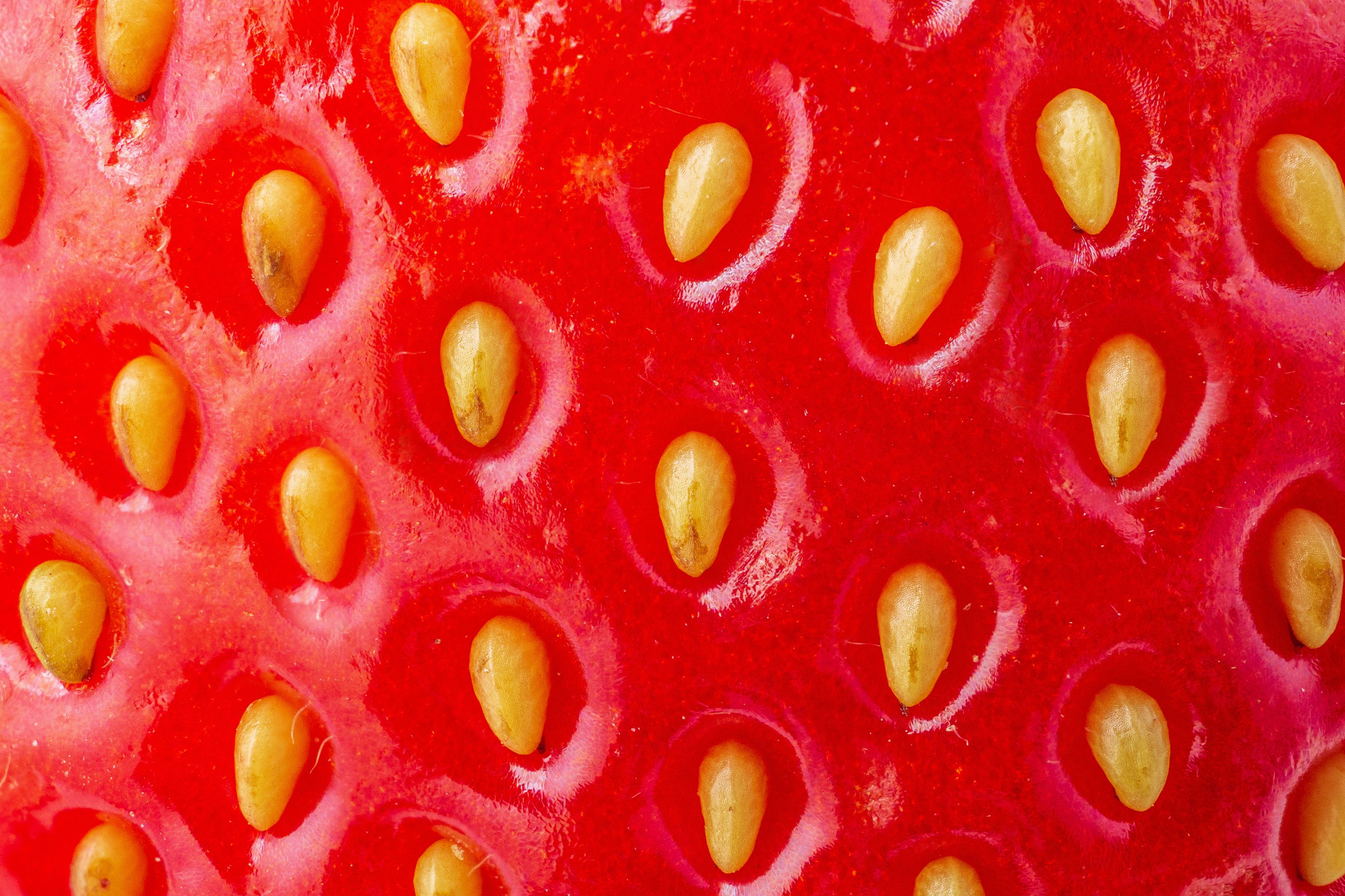 Skin Rashes: What’s the Cause?