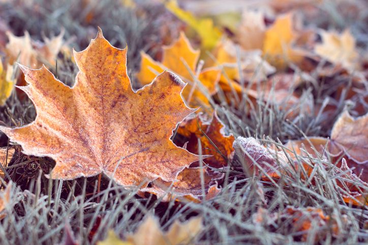 12 Unexpected Things That Can Trigger a Heart Attack