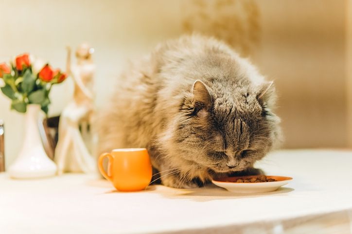 What Tests Should You Take if You Can’t Lose Weight?