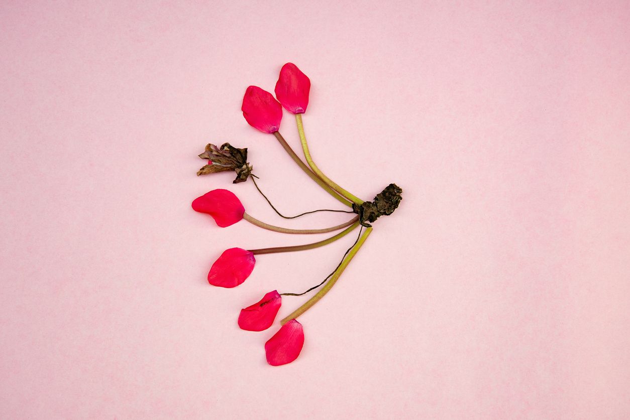 How Can Breast Cancer Risks Be Reduced?