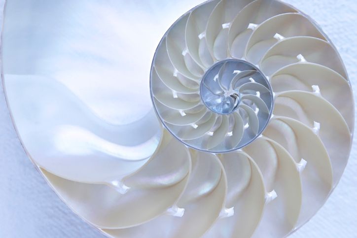 Not Just the Condom: 6 Methods of Male Contraception