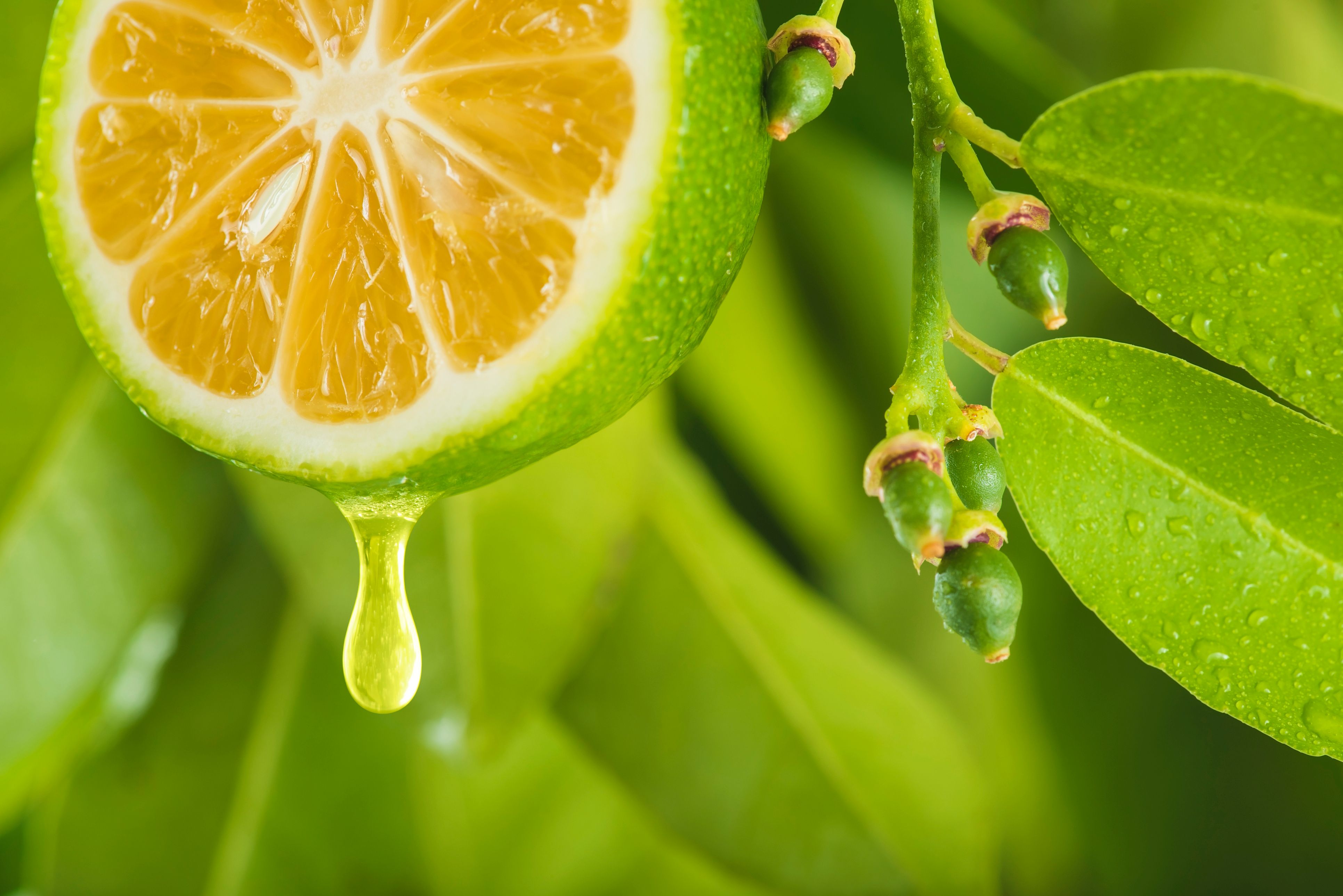 What Does Nipple Discharge Mean?