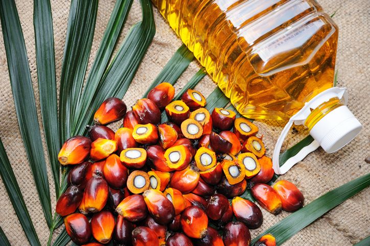 Is Palm Oil Really Harmful?
