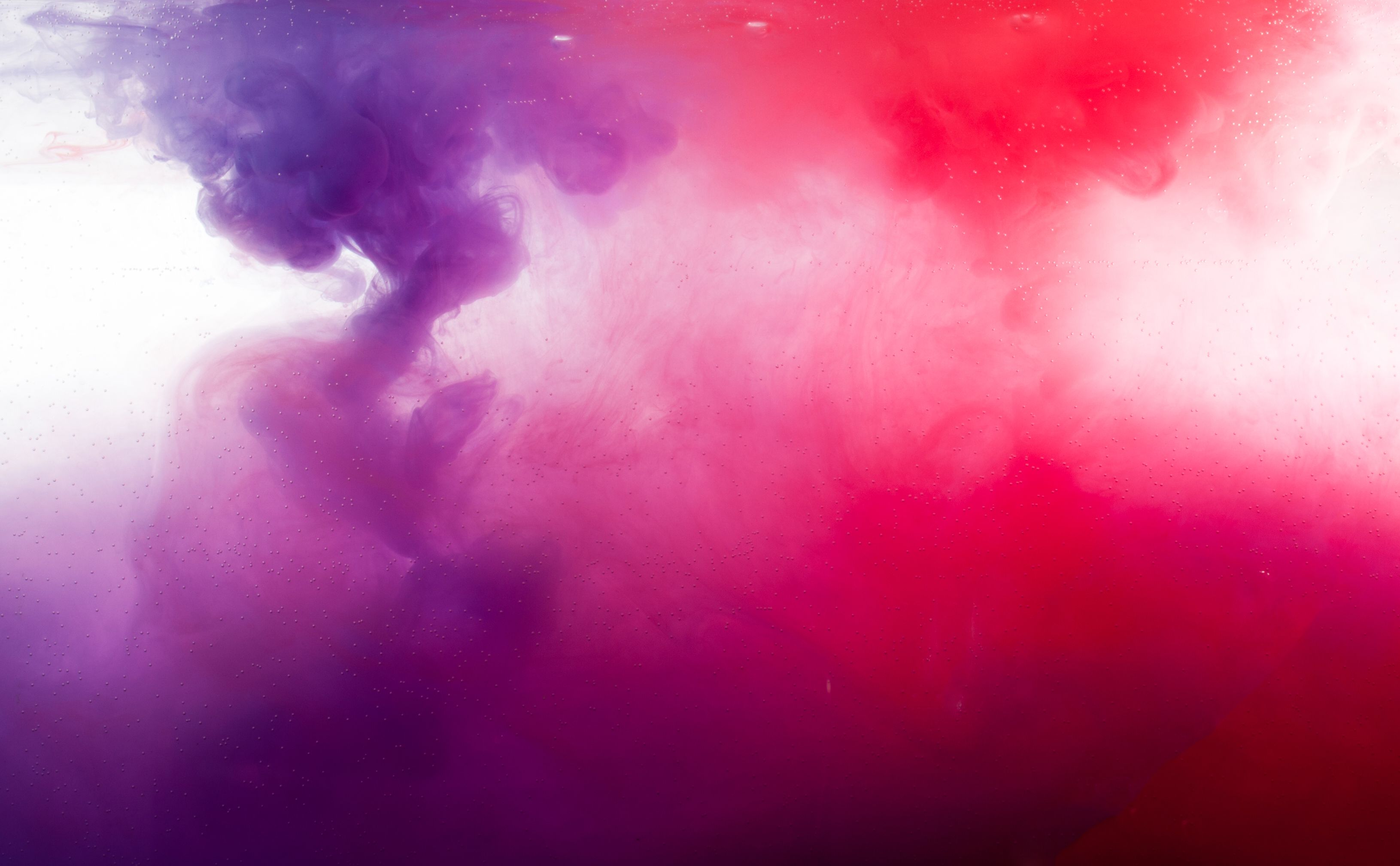 Urine Test: What It Can Reveal