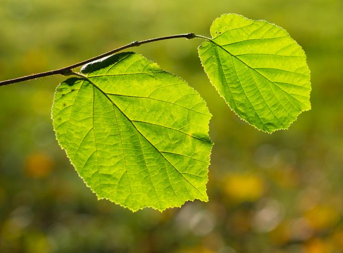 What Do I Need To Know About COPD?