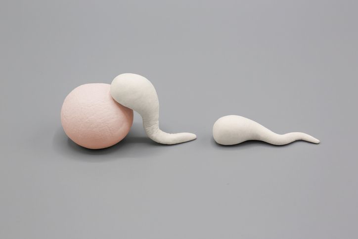 6 Main Causes of Male Infertility