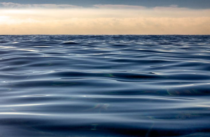 Is Seawater Good for You?