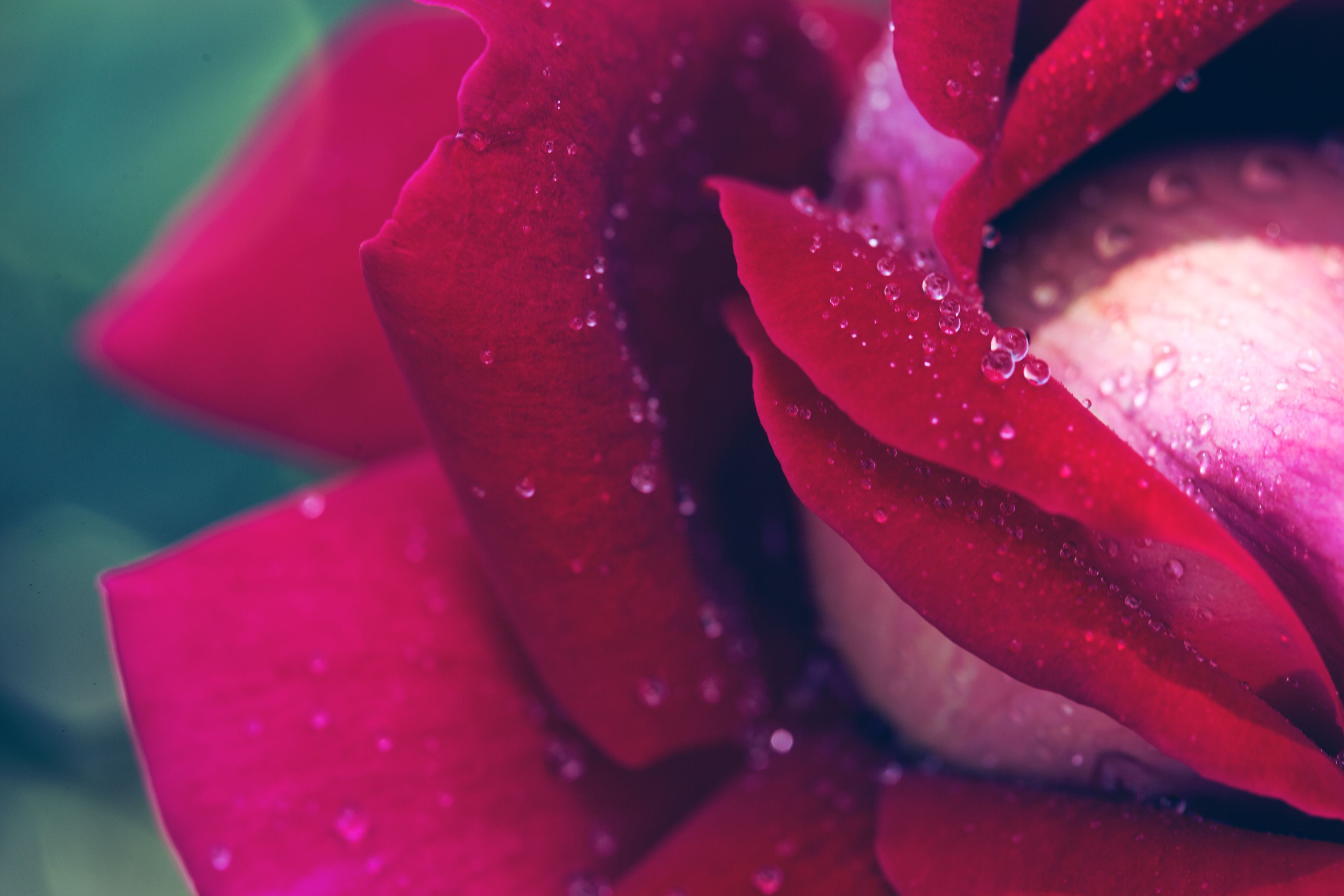 How Can Intimate Plastic Surgery Improve a Woman’s Life?