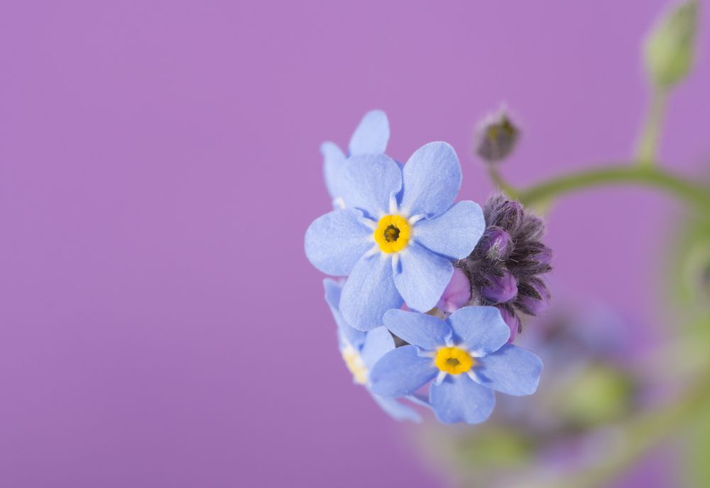 What Causes Forgetfulness?